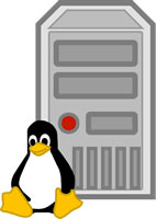 Linux VNC-Server