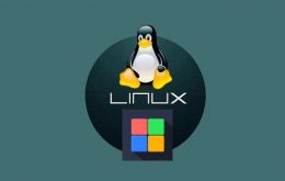WSL Version 1.0.0: Linux innerhalb von Windows