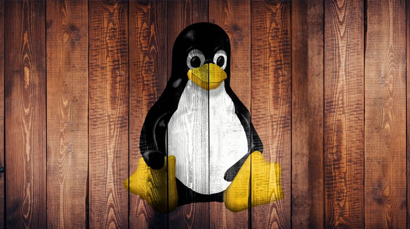 Spezial-Linux unter Windows
